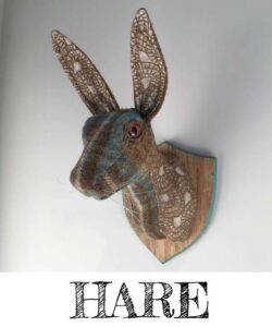 hare head