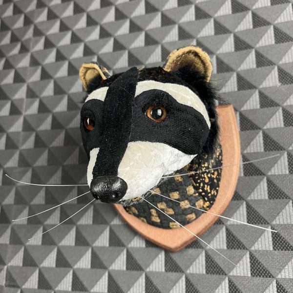 Racoon Wall Mount | Ronnie The Characterful Racoon