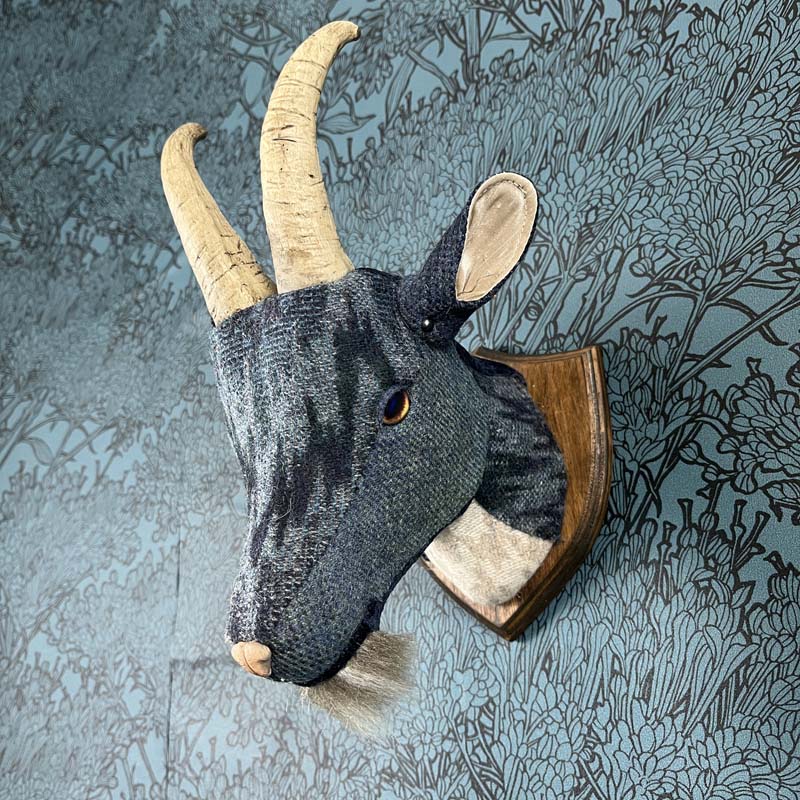 Goat - Blue Wool - Bombadil - Image 6