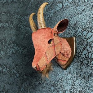 velvet goat